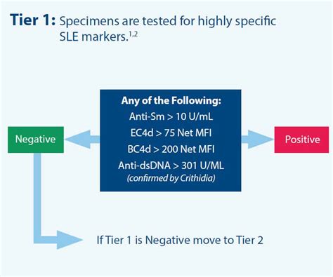 Advanced Diagnostic Test For Lupus And Autoimmune Disease .